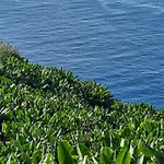 Vista Mar, A In Madeira Apartmán Ponta do Sol (Madeira)