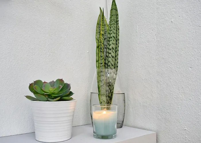 דירה Vista Mar, A In Madeira