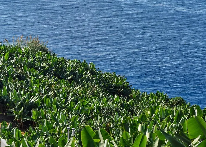 Vista Mar, A In Madeira דירה פונטה דו סול